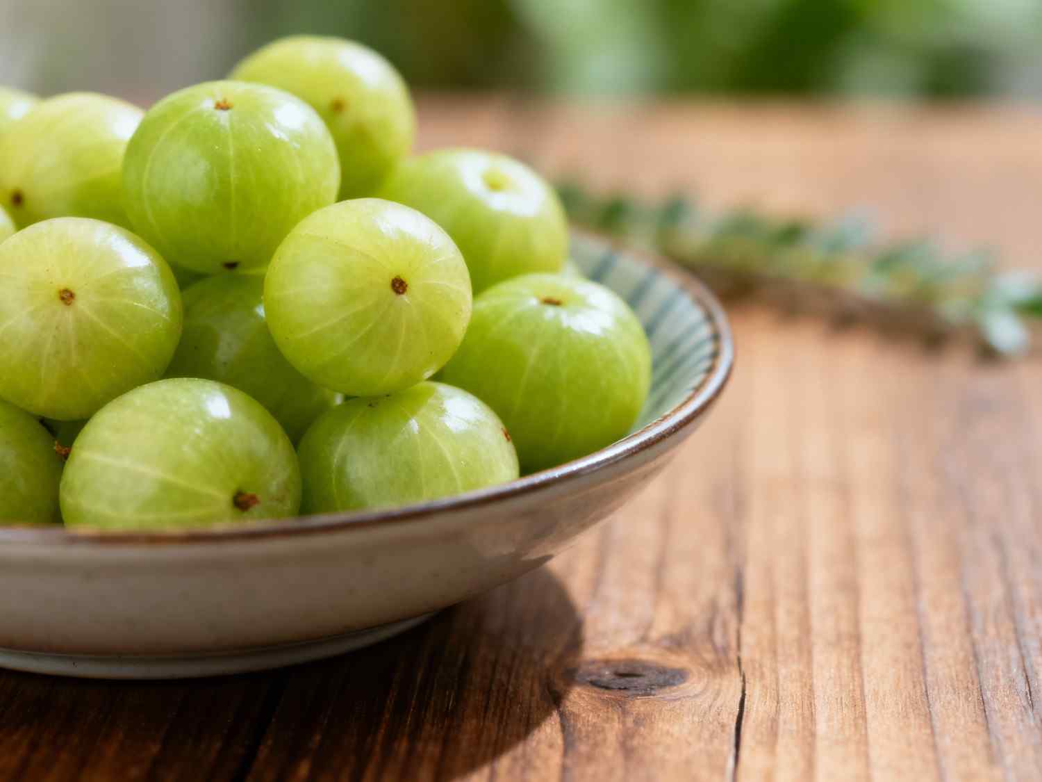 You are currently viewing Top 10 Expert-Recommended Health Benefits of Amla