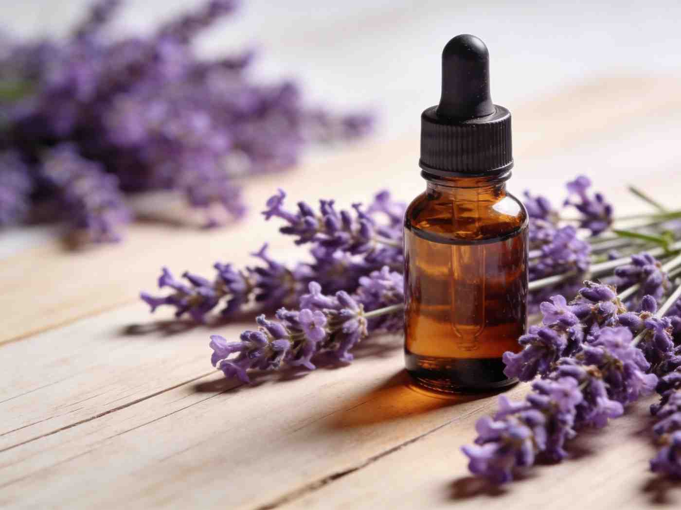 Lavender Oil
