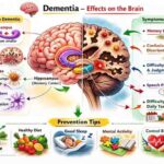 Early Signs of Alzheimer’s You Should Never Ignore in 2026
