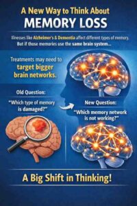 Read more about the article This Brain Discovery Is Forcing Scientists to Rethink How Memory Works