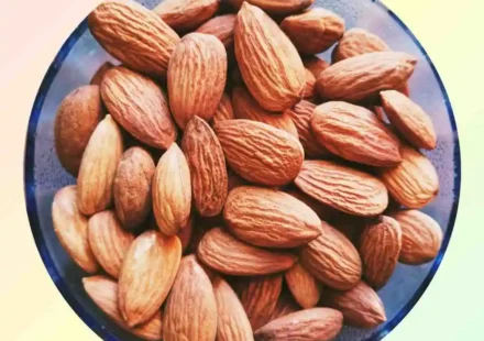 Almond protein content per 28 grams: The Fitness Fuel You're Missing