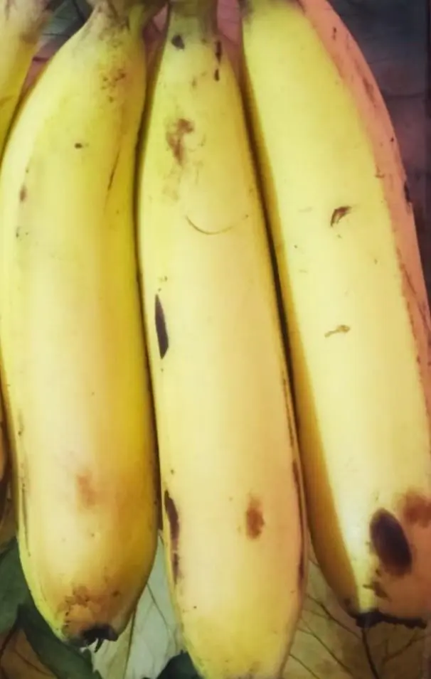 Fresh ripe bananas rich in potassium, fiber, and natural energy