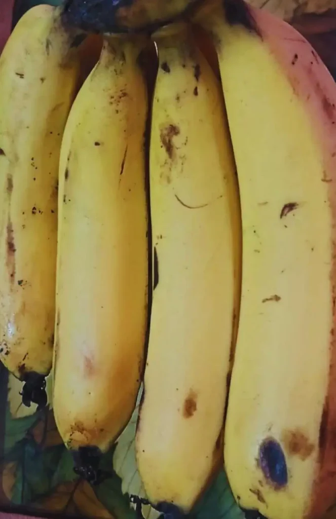 A bunch of four ripe yellow bananas with natural brown spots, placed on a leafy surface, perfect for adding natural sweetness and creaminess to green smoothies