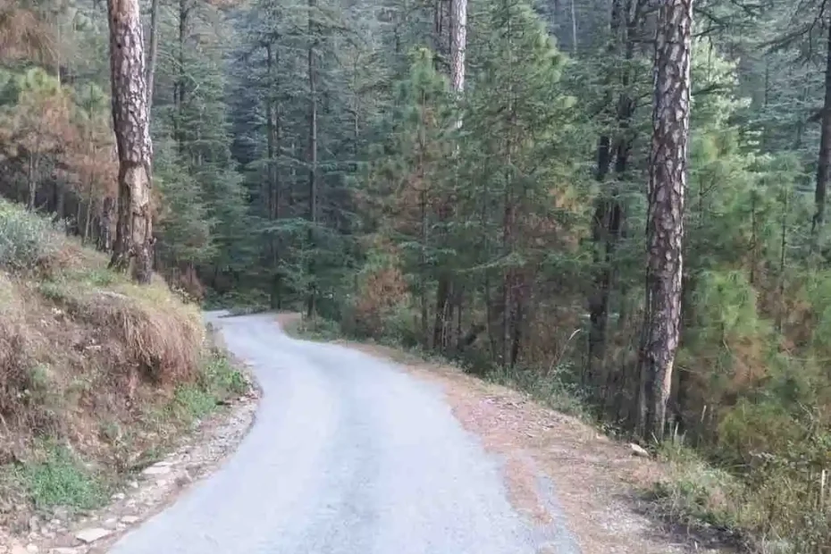 Why Walking Is the Best Thing You Can Do for Your Focus