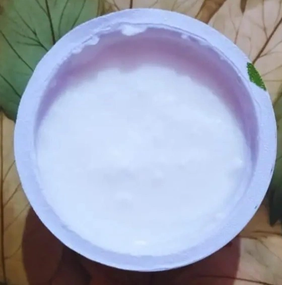 Bowl of plain Greek yogurt rich in protein and probiotics for a healthy diet